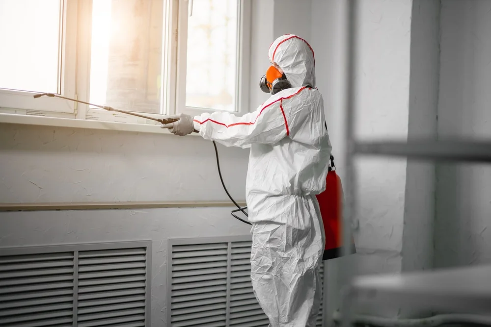 Professional mold remediation services in White Lake, MI